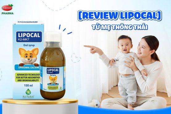 review lipocal canxi