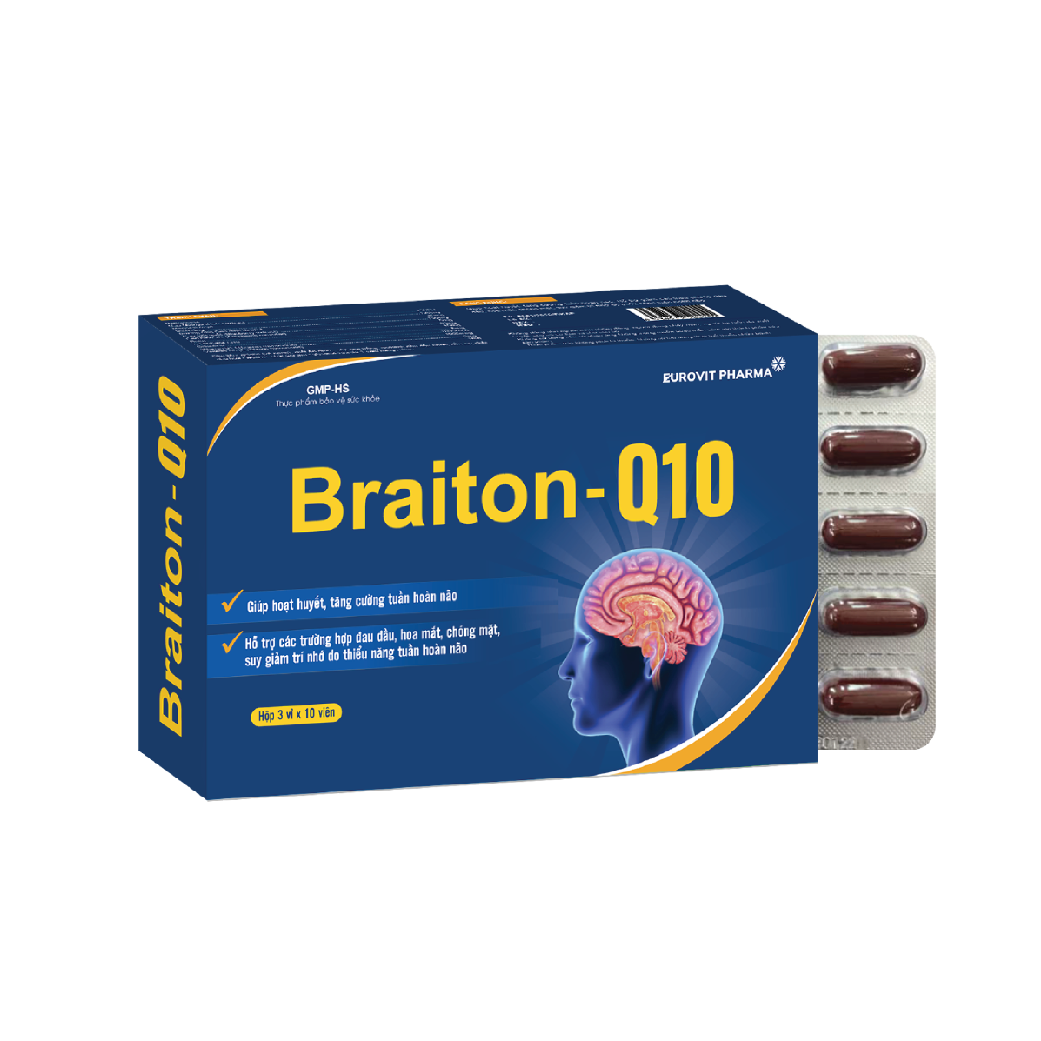 BRAITON Q10
